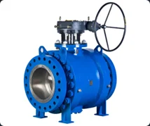 Globe Valve