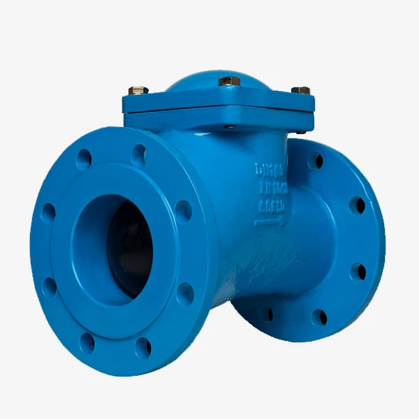 Check Valve